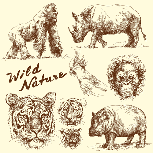 Hand drawn wild animal design vectors 02 wild hand drawn Animal   