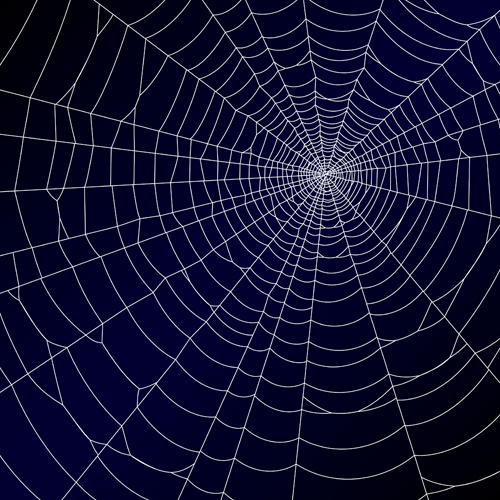 Vector spider web design background graphics 04 spider web spider background   