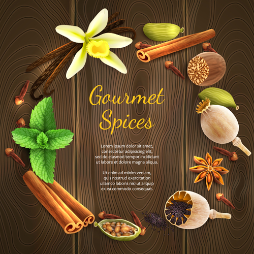 Vector gourmet spices background material 01 spices material gourmet background   