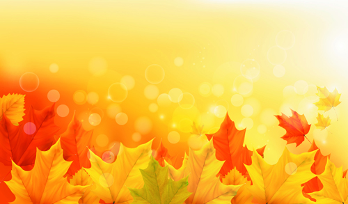 Beautiful Autumn leaves background vector 05 leaves background leave background vector background autumn leaves   