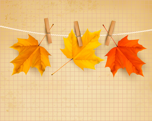 Beautiful Autumn leaves background vector 02 leaves background leave beautiful background vector background autumn leaves   