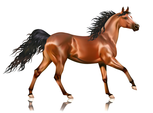 Creative running horse design vector set 11 running horse creative   