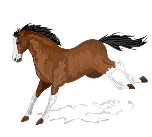 Creative running horse design vector set 10 running horse creative   