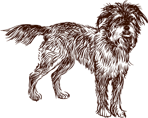 Hand drawn dog art vector material 02 material hand drawn dog   