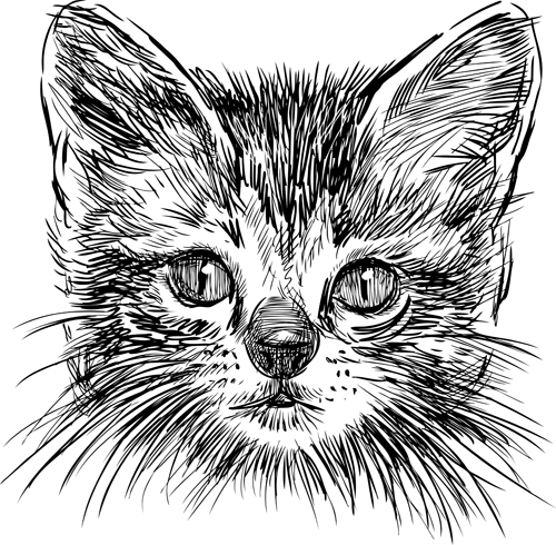 Hand drawing black kittens vector 01 Kittens Hand drawing drawing black   