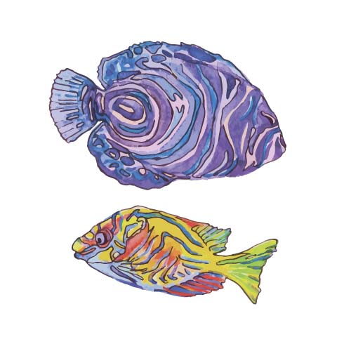 Hand drawn marine fish watercolor vector 03 watercolor marine hand drawn fish   