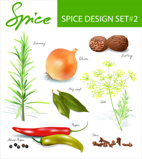 Different spices design set vector 02 spices different   