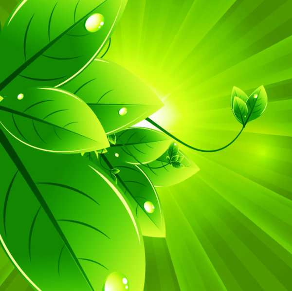 Set of Eco friendly with green Leaves background vector 04 leaves leave green eco friendly eco   