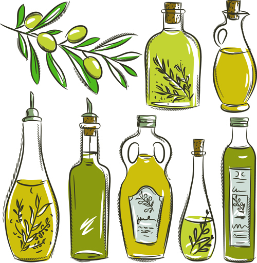 Olives and olive oil hand drawn vector olive oil olive hand drawn   