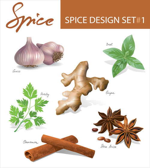 Set of Different Spice design vector 02 Spice different   