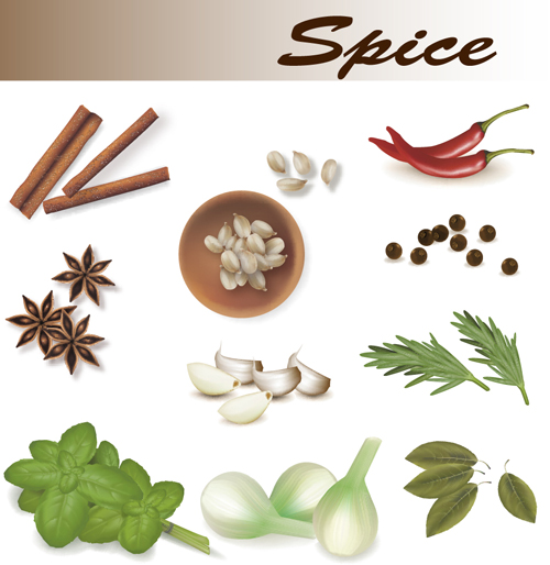Set of Different Spice design vector 05 Spice different   