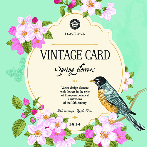 Vintage flower and bird card vector graphics 02 vintage vector graphics vector graphic flower card vector card bird   