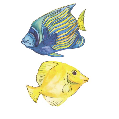 Hand drawn marine fish watercolor vector 02 watercolor marine hand drawn fish   