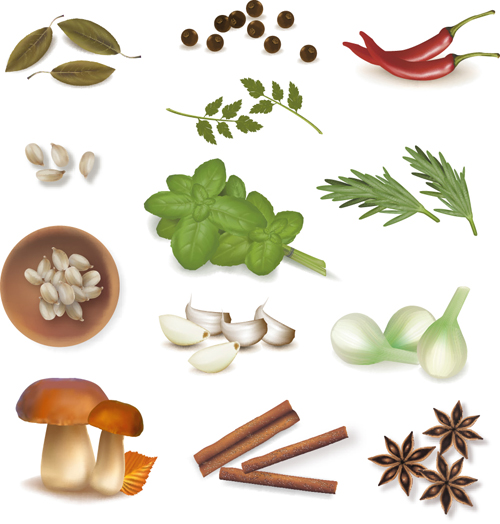 Set of Different Spice design vector 01 Spice different   