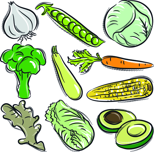 Sorts of hand drawing vegetables vector set 02 vegetables Hand drawing drawing   