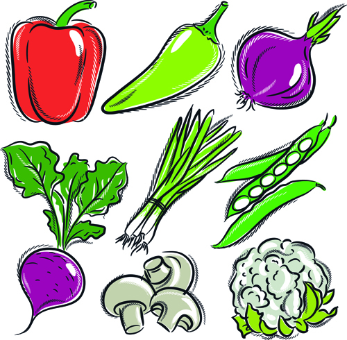 Sorts of hand drawing vegetables vector set 03 vegetables Hand drawing drawing   