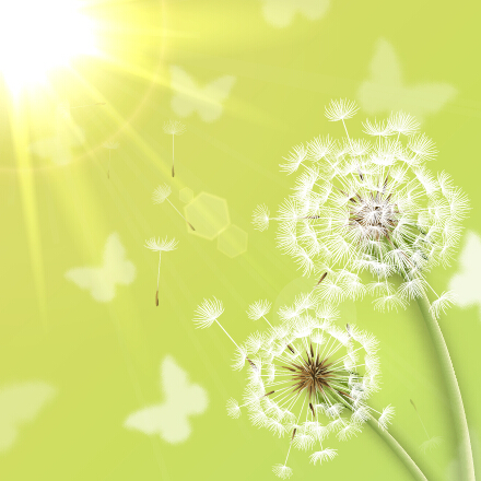 Shiny dandelion vector backgrounds material 04 Vector Background shiny material dandelion backgrounds background   