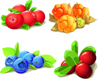 Vivid berry design vector vivid food Berry   