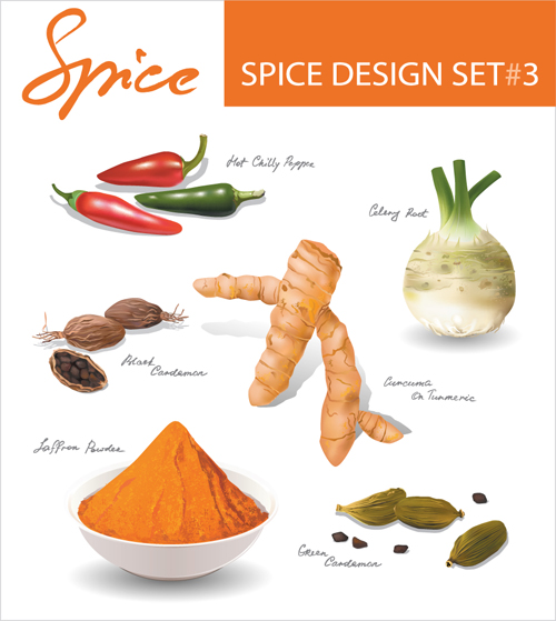 Set of Different Spice design vector 04 Spice different   