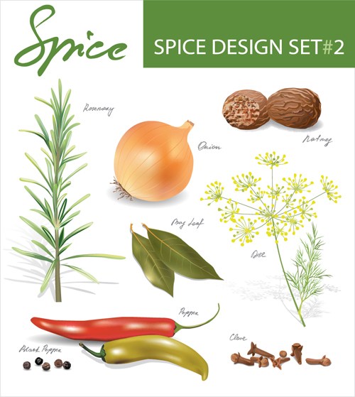 Set of Different Spice design vector 03 Spice different   