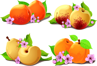 Fresh Pear and peach vector pear peach fresh   