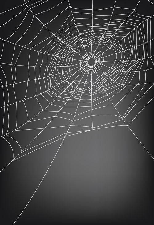 Vector spider web design background graphics 03 web design spider web spider background   