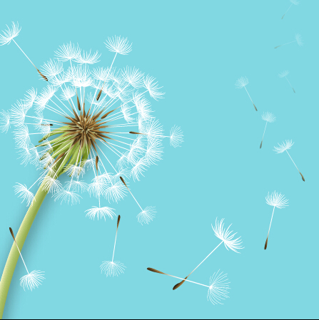 Shiny dandelion vector backgrounds material 01 Vector Background shiny material dandelion backgrounds background   