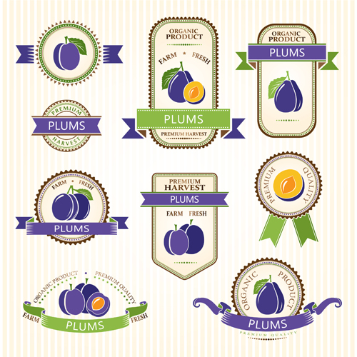 Delicate fruits labels vector material set 11 labels fruits delicate   