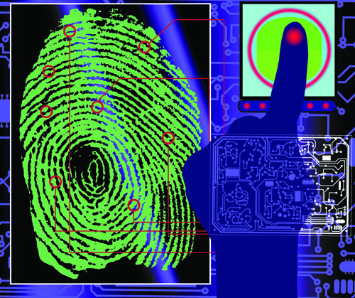 Set of Fingerprint identification vector 05 identification fingerprint   