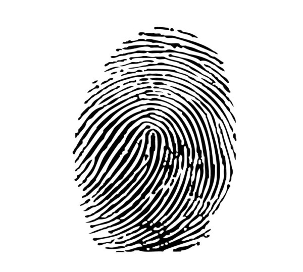 Vector set of fingerprints design elements 03 fingerprint elements element   