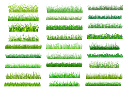 Spring grass borders vector material set 03 spring material grass borders   