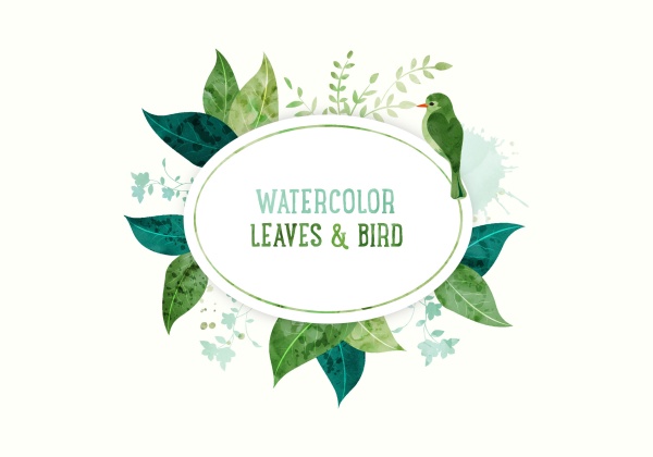 Watercolor leaves with bird vector background   