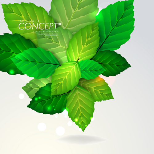 Green leaves concept background elements vector 02 leaves leave green elements element concept background concept   