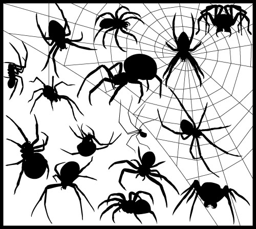 Spider vector silhouetter set 02 spider silhouetter   