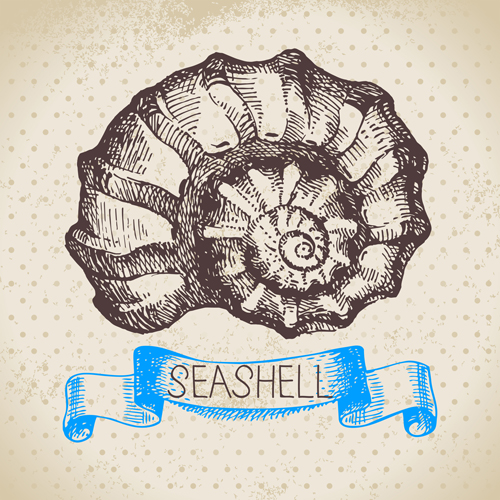 Set of seashell hand drawn vectors material 05 seashell hand drawn   