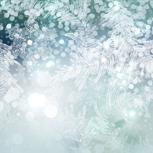 Beautiful snowflake blurs christmas background vector 04   