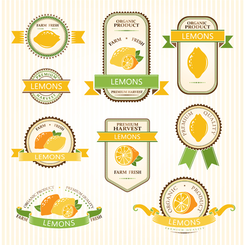 Delicate fruits labels vector material set 10 labels fruits delicate   