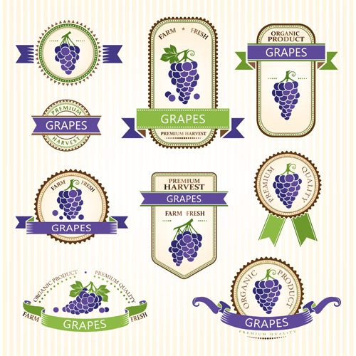 Delicate fruits labels vector material set 07 labels fruits delicate   