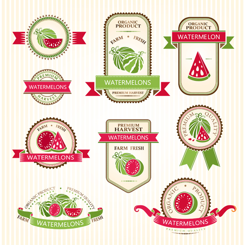 Delicate fruits labels vector material set 21 labels fruits delicate   