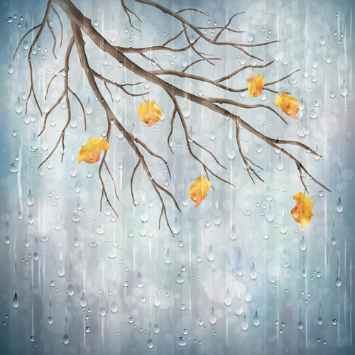 Autumn leaves with raindrop vector background Raindrop autumn leaves   