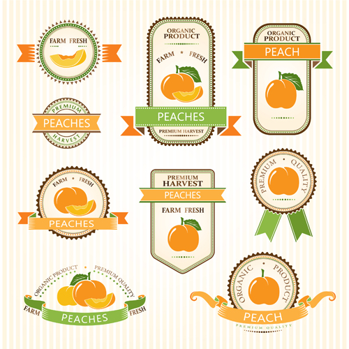 Delicate fruits labels vector material set 01 material labels fruits delicate   