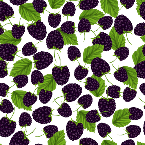 Berry pattern seamless vector material 01 seamless pattern Berry   