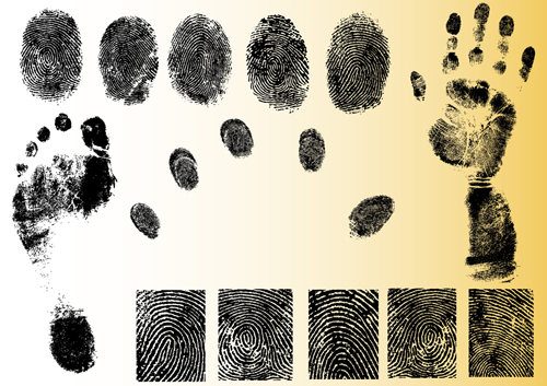 Set of Fingerprint identification vector 01 identification fingerprint   