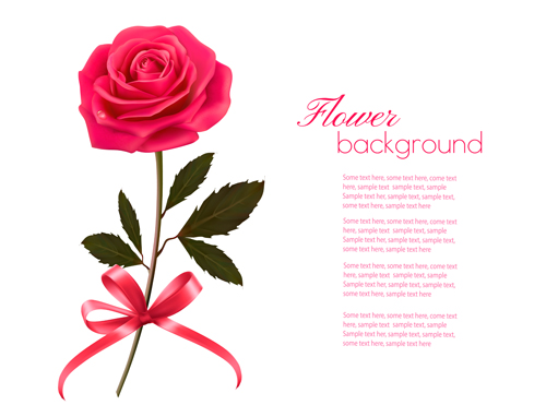 Pink rose beautiful background vectors 02 pink beautiful background   