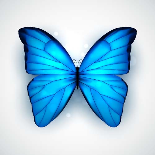 Beautiful butterflies design material vector 02 butterflies beautiful   