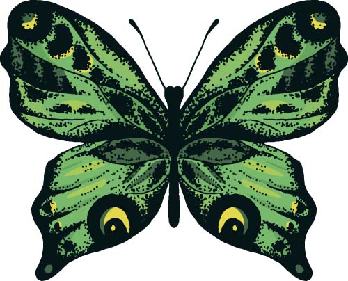 Beautiful butterflies design material vector 04 butterflies beautiful   