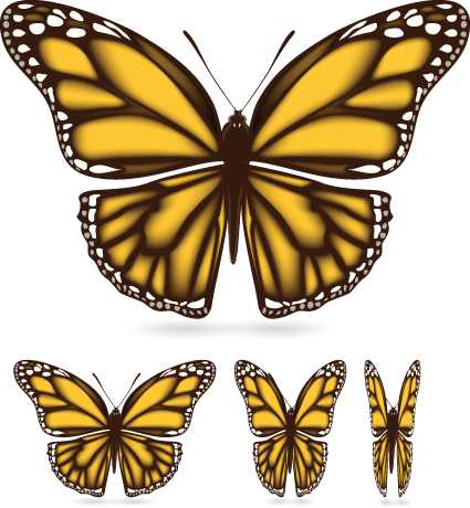 Different color butterfly sample vector 01 different color butterfly   