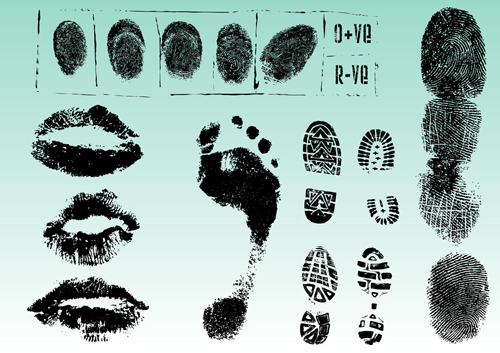 Set of Fingerprint identification vector 02 identification fingerprint   