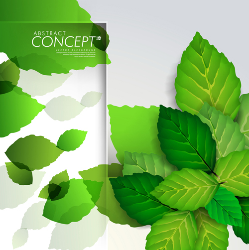 Green leaves concept background elements vector 04 leaves leave green elements element concept background concept   