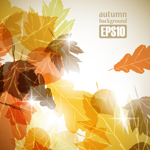 Autumn theme backgrounds art vector 04 theme autumn   